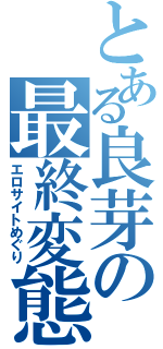 とある良芽の最終変態（エロサイトめぐり）