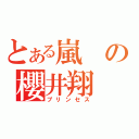 とある嵐の櫻井翔（プリンセス）