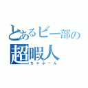 とあるビー部の超暇人（ちゃぶーん）