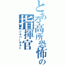 とある高所恐怖症の指揮官（シルバーボルト）