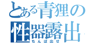 とある青狸の性器露出（ちんぽ出せ）