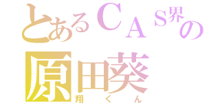 とあるＣＡＳ界の原田葵（翔くん）