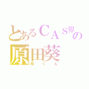 とあるＣＡＳ界の原田葵（翔くん）