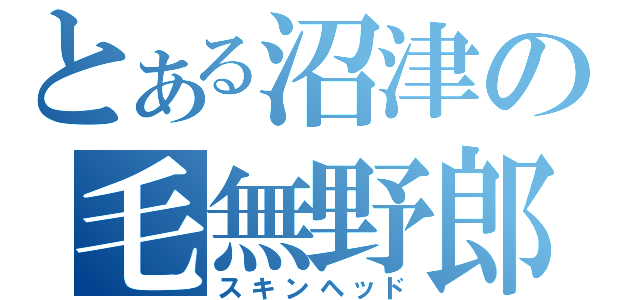 とある沼津の毛無野郎（スキンヘッド）