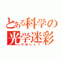 とある科学の光学迷彩（河城にとり）