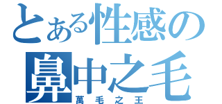 とある性感の鼻中之毛（萬毛之王）