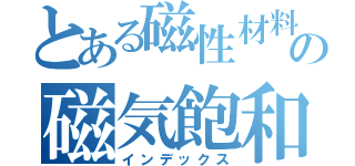 とある磁性材料の磁気飽和（インデックス）