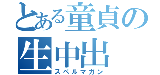 とある童貞の生中出（スペルマガン）