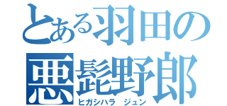 とある羽田の悪髭野郎（ヒガシハラ ジュン）