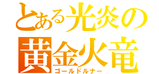 とある光炎の黄金火竜（ゴールドルナー）