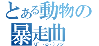 とある動物の暴走曲（Ｕ"・ω・）ノシ）