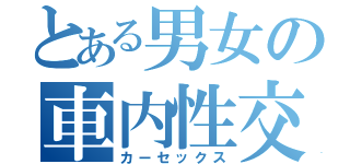 とある男女の車内性交（カーセックス）