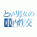 とある男女の車内性交（カーセックス）