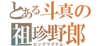 とある斗真の祖珍野郎（ビッグマグナム）