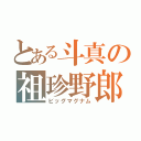 とある斗真の祖珍野郎（ビッグマグナム）