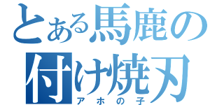 とある馬鹿の付け焼刃（アホの子）