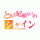 とある尼損以上のシャイン（服以外も激安の黒船襲来）