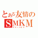 とある友情のＳＭＫＭ（アメーバピグ）