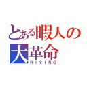 とある暇人の大革命（ＲＩＳＩＮＧ）