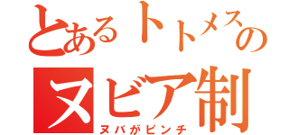 とあるトトメスのヌビア制圧（ヌバがピンチ）