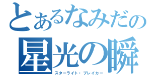 とあるなみだの星光の瞬き（スターライト・ブレイカー）