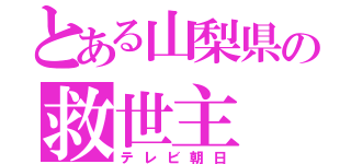 とある山梨県の救世主（テレビ朝日）