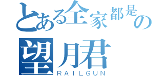 とある全家都是好人の望月君（ＲＡＩＬＧＵＮ）