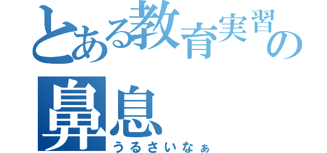 とある教育実習生の鼻息（うるさいなぁ）