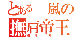 とある　嵐の撫肩帝王（櫻井　翔）