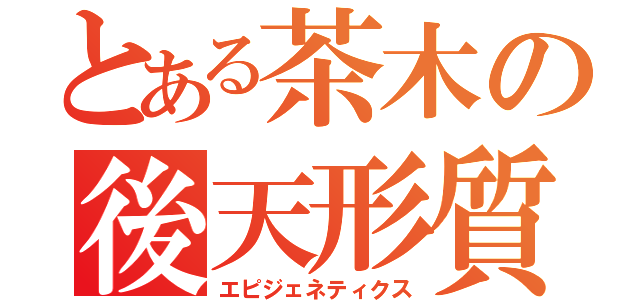 とある茶木の後天形質（エピジェネティクス）