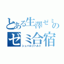 とある生澤ゼミのゼミ合宿（シュバルツハルト）