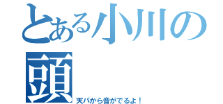 とある小川の頭（天パから音がでるよ！）