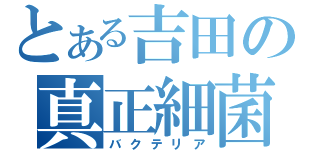 とある吉田の真正細菌（バクテリア）