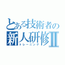 とある技術者の新人研修Ⅱ（トレーニング）