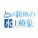 とある新種の水上椿象（アメンボ）