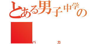 とある男子中学生の（バカ）