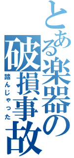 とある楽器の破損事故（踏んじゃった）