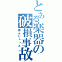 とある楽器の破損事故（踏んじゃった）