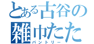 とある古谷の雑巾たたみ（パントリー）