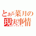 とある菜月の現実事情（リアルタイム）