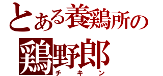 とある養鶏所の鶏野郎（チキン）