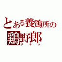 とある養鶏所の鶏野郎（チキン）