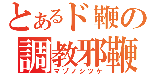 とあるド鞭の調教邪鞭（マゾノシツケ）