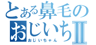 とある鼻毛のおじいちゃんⅡ（おじいちゃん）