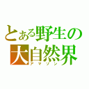 とある野生の大自然界（アマゾン）