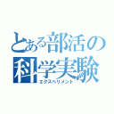 とある部活の科学実験（エクスペリメント）