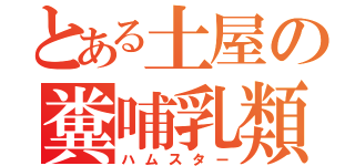 とある土屋の糞哺乳類（ハムスター）