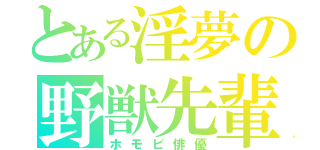 とある淫夢の野獣先輩（ホモビ俳優）