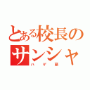 とある校長のサンシャイン（ハゲ頭）