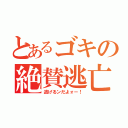 とあるゴキの絶賛逃亡（逃げるンだよォー！）